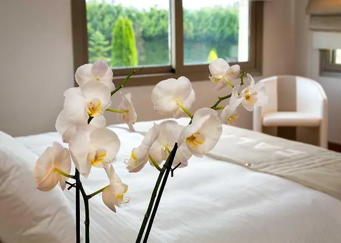 Calma & קסטוריה