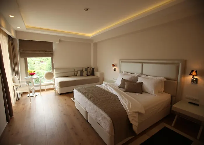 酒店 卡尔马spa及酒店 4*